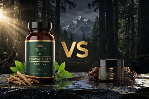 Shilajit vs Ashwagandha: Benefits, Differences & Which Is Better?