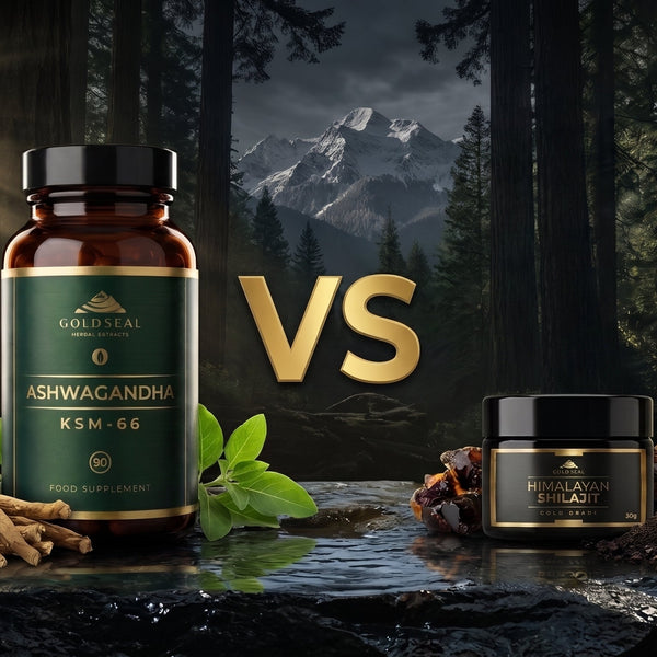 Shilajit vs Ashwagandha: Benefits, Differences & Which Is Better?