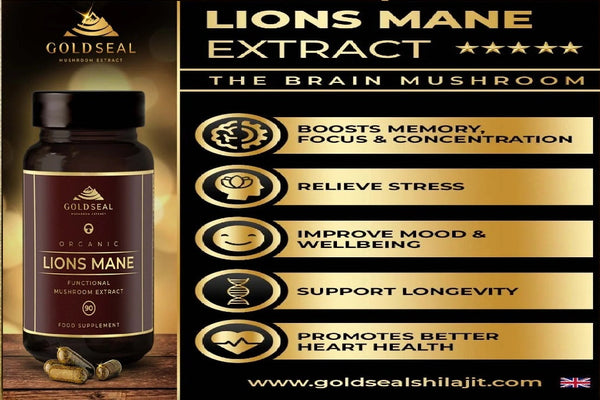 How Lion’s Mane Capsules Improve Cognitive Function and Mental Clarity