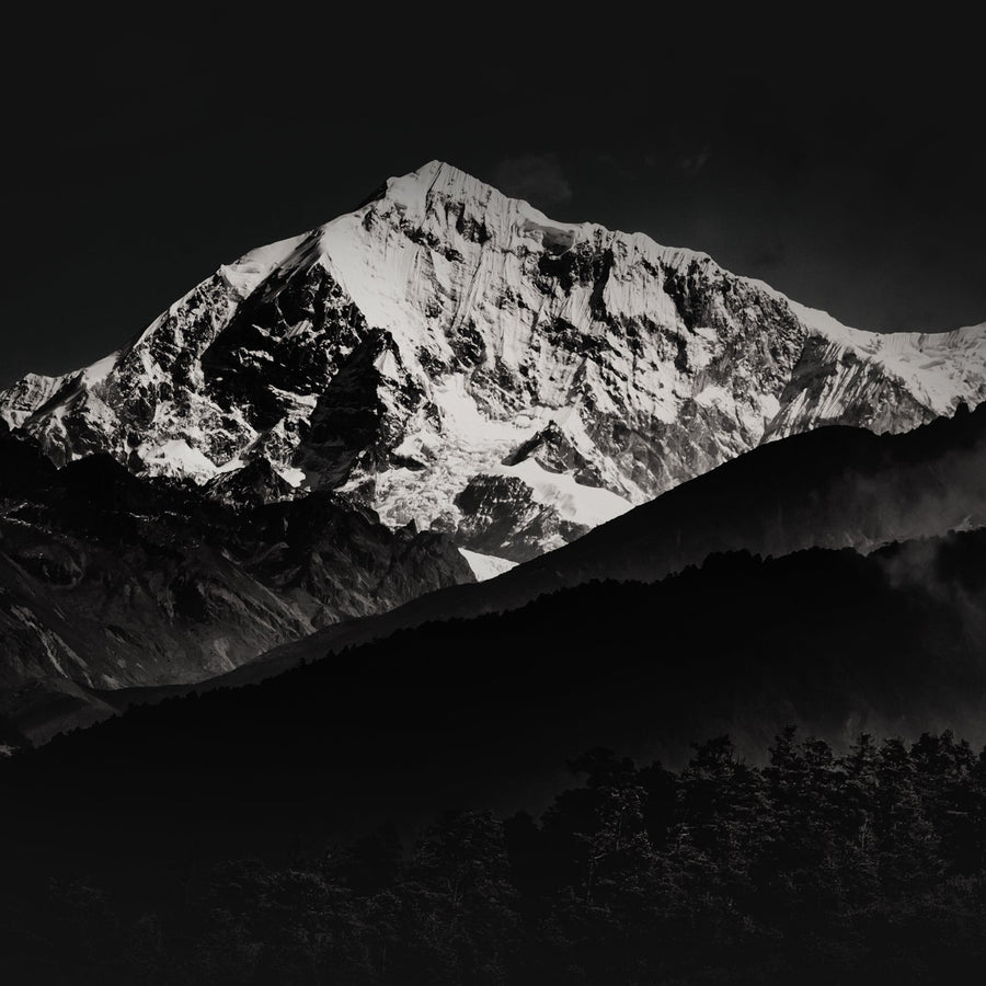 Authentic Himalayan Shilajit Products in UK