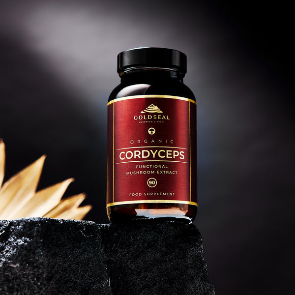 Cordyceps Mushroom|