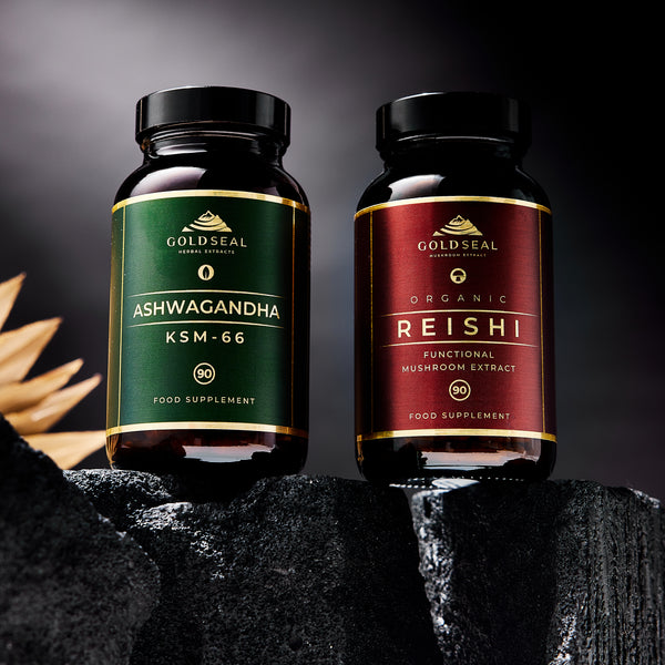 Calm and Resilience Bundle