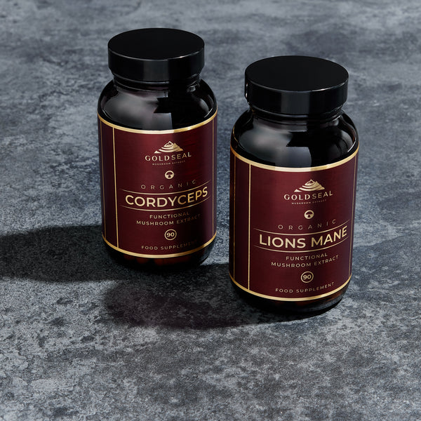 Energy and Focus Bundle