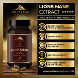 lions mane|Lions Mane