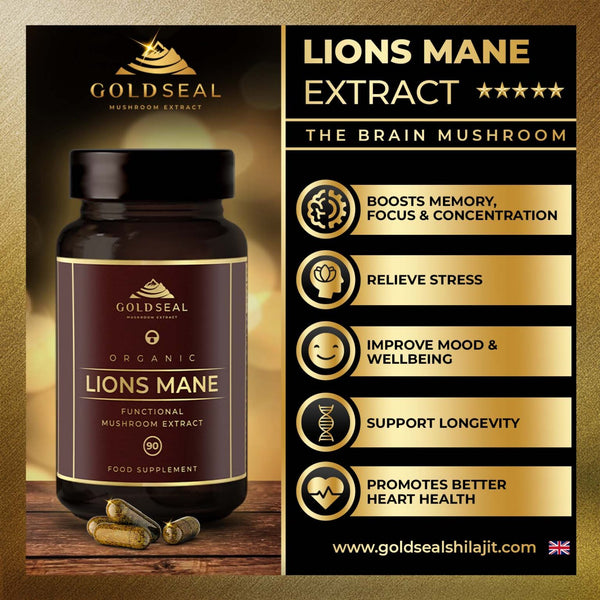 lions mane|Lions Mane