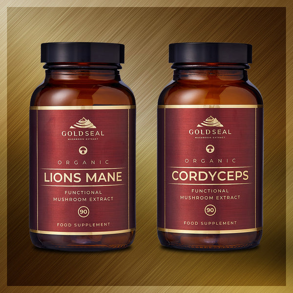 Energy and Focus Bundle