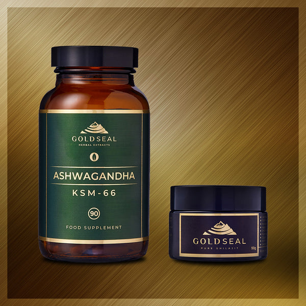 Energy and Stress Balance Bundle