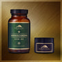 Energy and Stress Balance Bundle